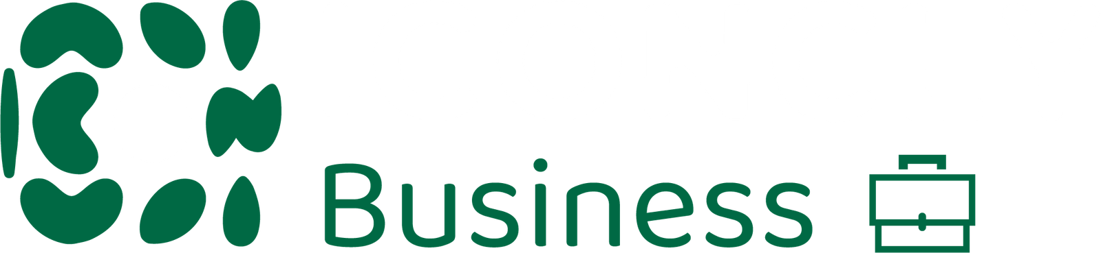 ICONCLY Business